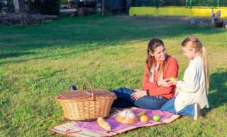 Live Infinite Amenities - PICNIC SPOT